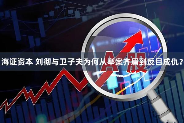 海证资本 刘彻与卫子夫为何从举案齐眉到反目成仇？
